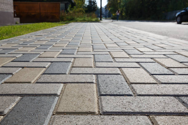 Best Driveway Paving Contractor  in Chleston, AR